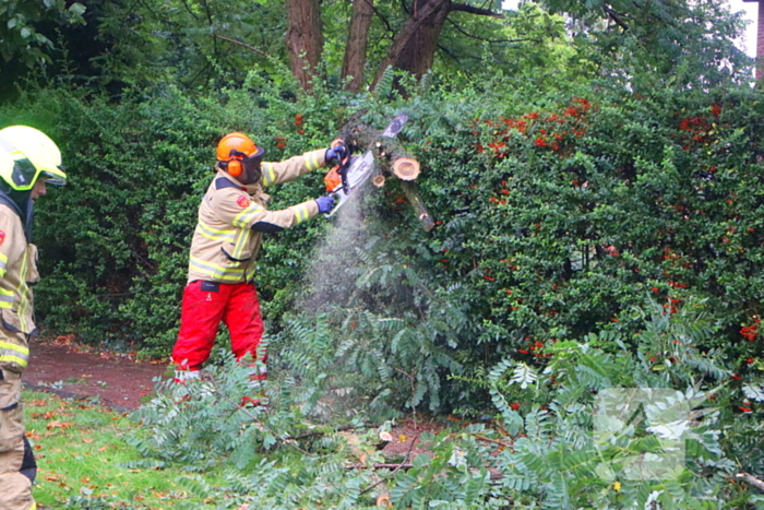 Brandweer verwijdert afgebroken tak van wegdek