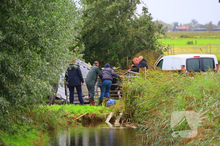 Vrouw aangevallen door stier