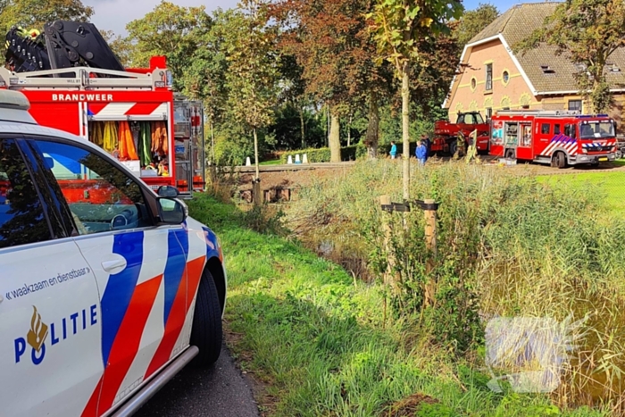 Brandweer haalt met man en macht koppig paard uit sloot