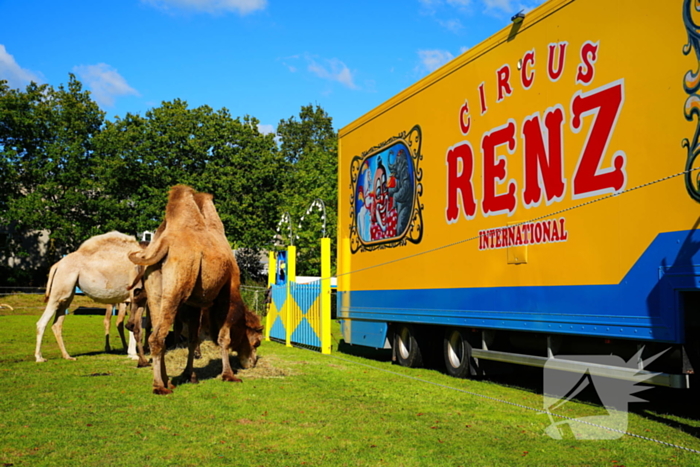 Circus Renz gestart met opbouw circus