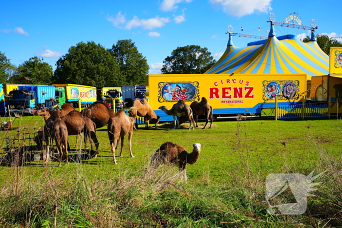 Circus Renz gestart met opbouw circus