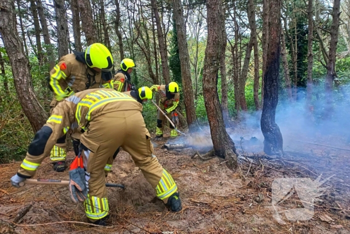 Brandweer grijpt in bij brandstichting in bos