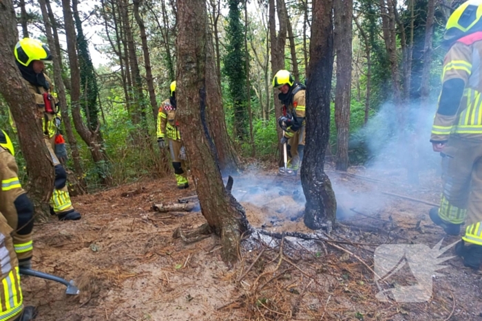 Brandweer grijpt in bij brandstichting in bos