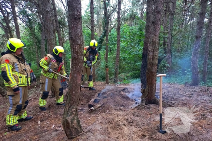 Brandweer grijpt in bij brandstichting in bos