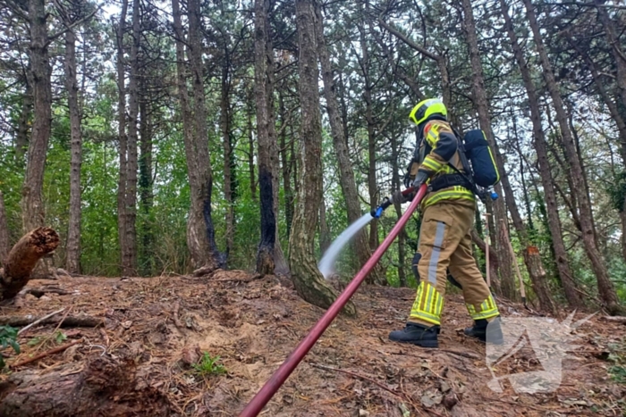 Brandweer grijpt in bij brandstichting in bos