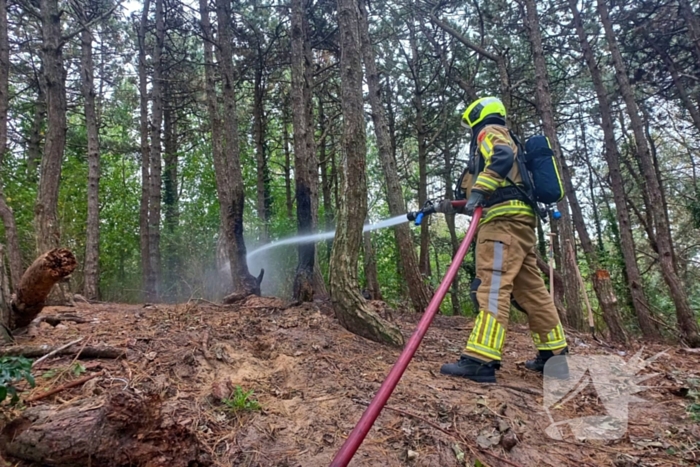 Brandweer grijpt in bij brandstichting in bos