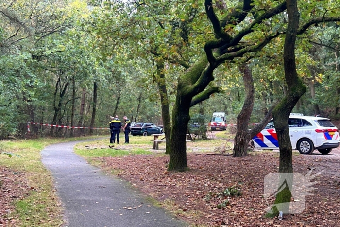 Vier gewonden bij frontale botsing in bos