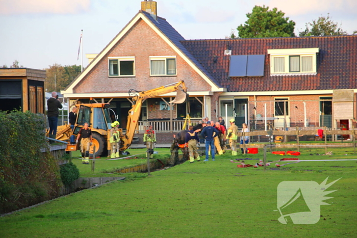 Paard valt opnieuw in sloot bij reddingsactie