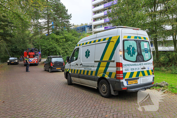 Brand in flatwoning snel onder controle