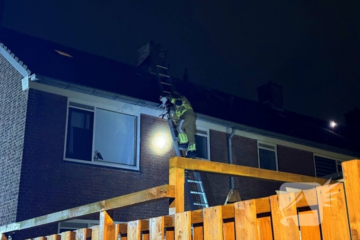 Brandweer weet kat uit dakgoot te pakken