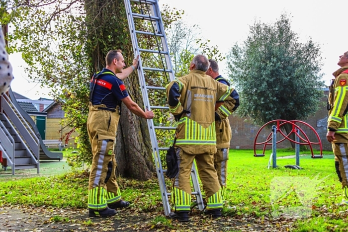 Brandweer redt kind uit boom