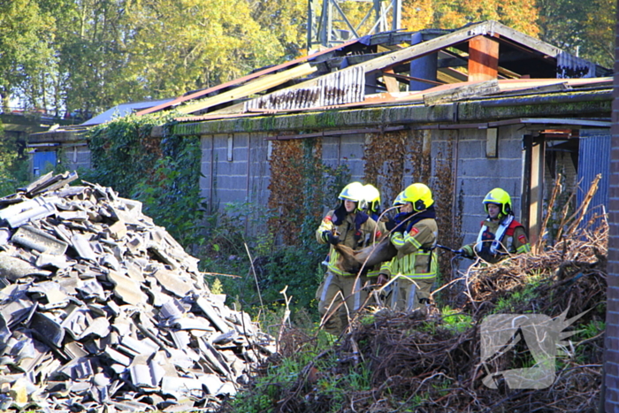 Brandweer zet alles op alles om ree te vangen