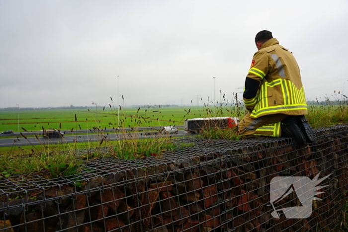 Brandweer op zoek naar vastzittend schaap