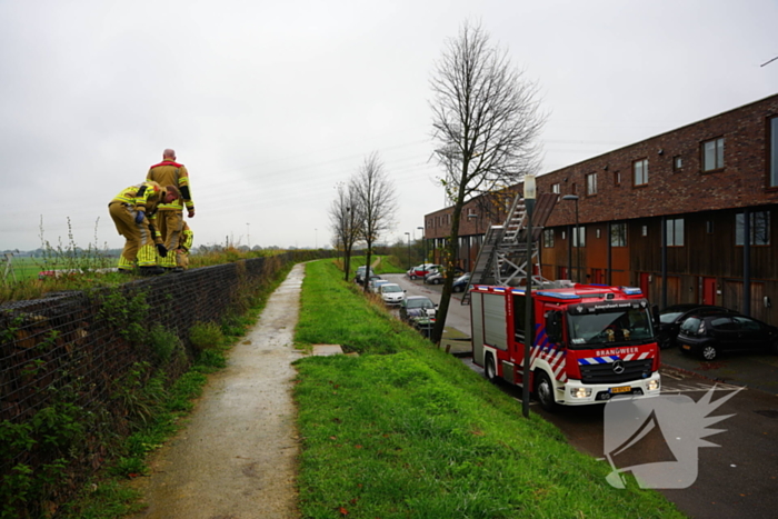 Brandweer op zoek naar vastzittend schaap