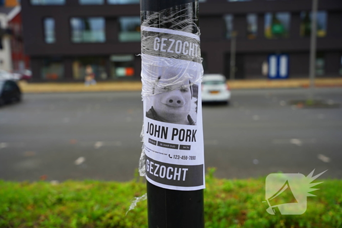 Opmerkelijke gezocht-posters opgehangen