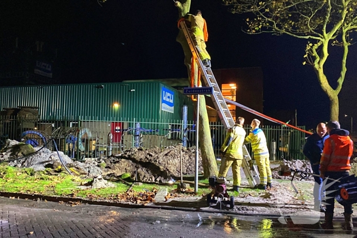 Boom dreigt om te vallen na wateroverlast en zorgt voor gevaar wegens gasleiding