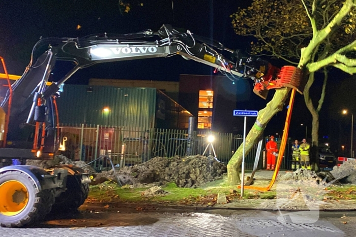 Boom dreigt om te vallen na wateroverlast en zorgt voor gevaar wegens gasleiding