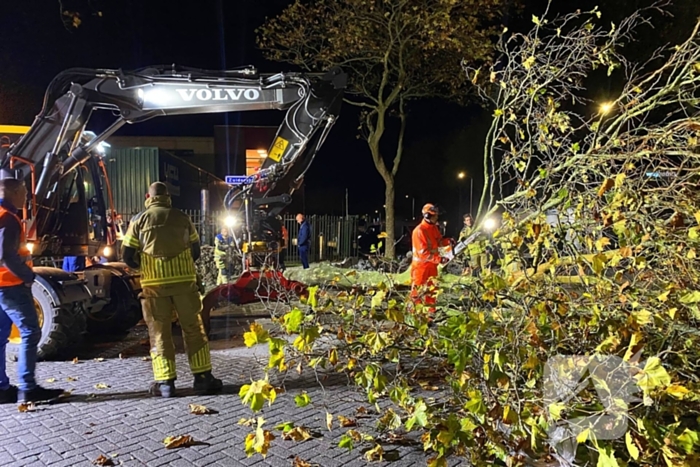 Boom dreigt om te vallen na wateroverlast en zorgt voor gevaar wegens gasleiding