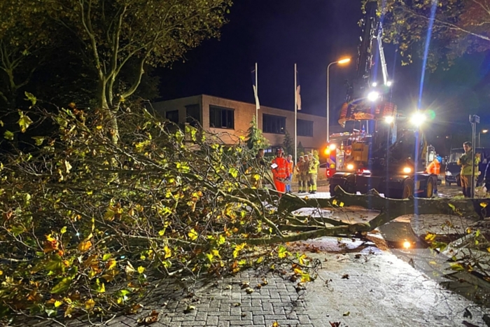 Boom dreigt om te vallen na wateroverlast en zorgt voor gevaar wegens gasleiding