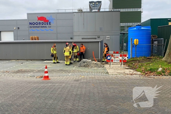 Zuidoostrak Nieuws Urk 