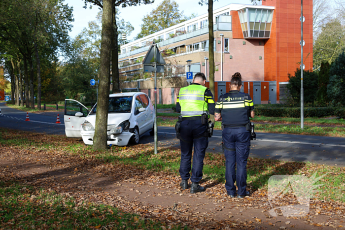 Automobiliste botst tegen boom