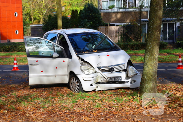 Automobiliste botst tegen boom