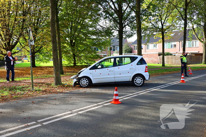 Automobiliste botst tegen boom