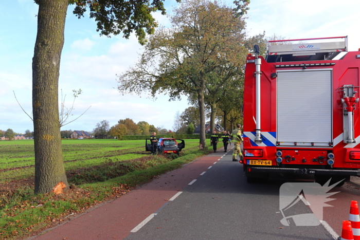 Automobilist klapt op boom en belandt in weiland