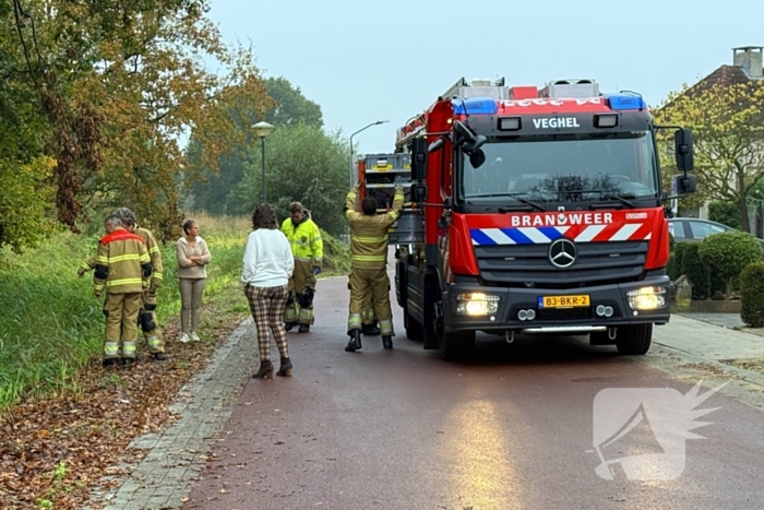 Scootmobiel raakt van de weg belandt in sloot