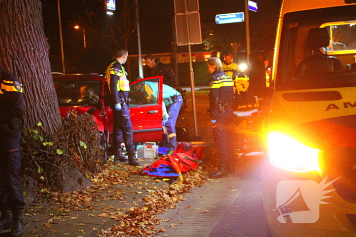 Automobiliste raakt van weg, knalt tegen boom en raakt gewond