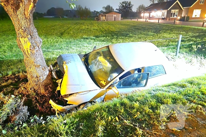 Automobilist raakt van weg en knalt tegen boom