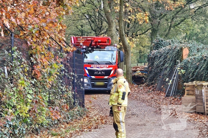 Hulpdiensten druk voor kat in boom