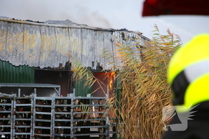 Brandweer groots ingezet voor uitslaande brand in kwekerij