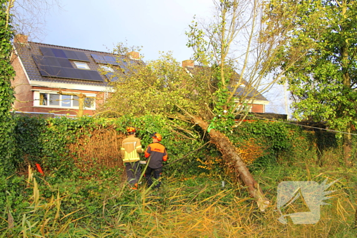 Omtrekken boom gaat verkeerd en valt op pergola