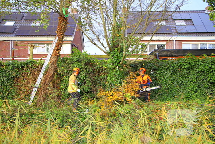 Omtrekken boom gaat verkeerd en valt op pergola