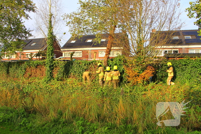 Omtrekken boom gaat verkeerd en valt op pergola