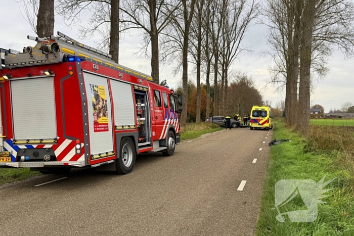 Bestuurder gewond bij botsing tegen boom