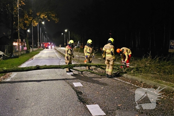 Brandweer zaagt over weg hangende boom om