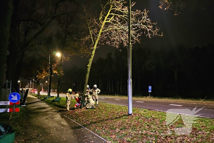 Brandweer zaagt over weg hangende boom om