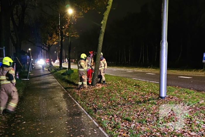 Brandweer zaagt over weg hangende boom om