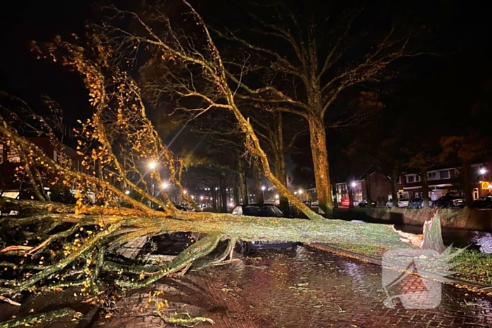 Drie bomen omgewaaid tijdens storm: aanzienlijke schade en afgesloten straat