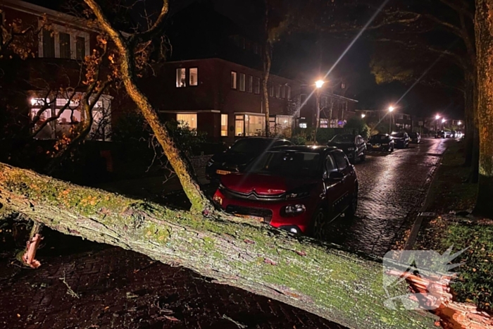 Drie bomen omgewaaid tijdens storm: aanzienlijke schade en afgesloten straat