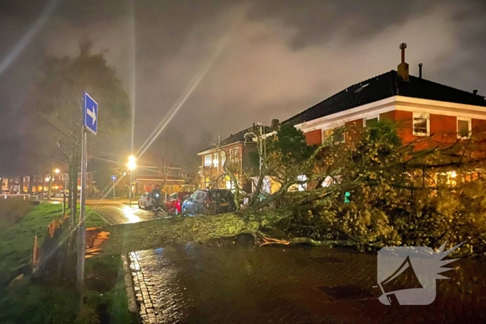 Drie bomen omgewaaid tijdens storm: aanzienlijke schade en afgesloten straat