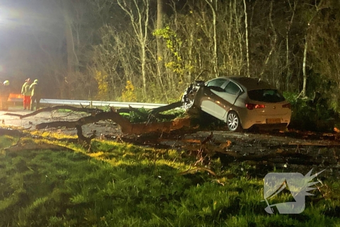 Auto crasht op omgevallen boom tijdens storm