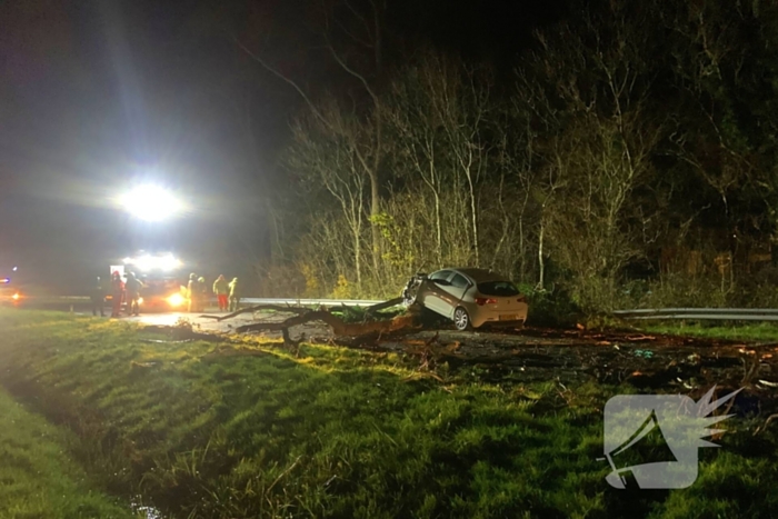 Auto crasht op omgevallen boom tijdens storm