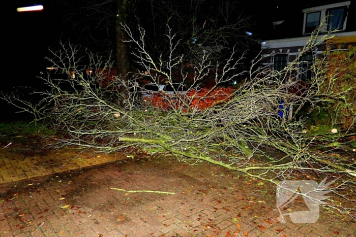 Auto bedolven onder boom, brandweer staakt zaagwerkzaamheden