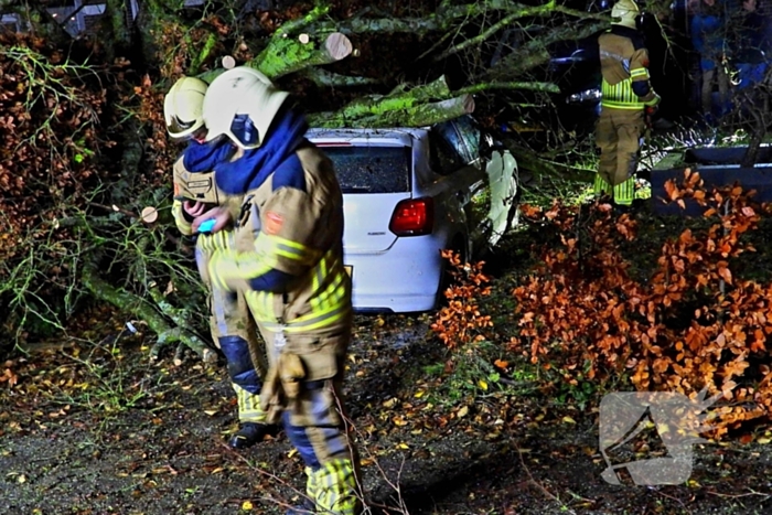 Auto bedolven onder boom, brandweer staakt zaagwerkzaamheden