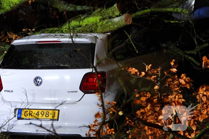 Auto bedolven onder boom, brandweer staakt zaagwerkzaamheden