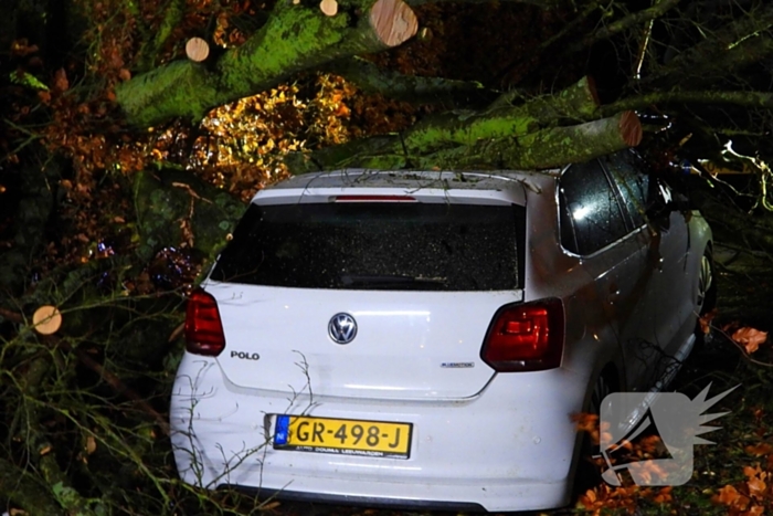 Auto bedolven onder boom, brandweer staakt zaagwerkzaamheden