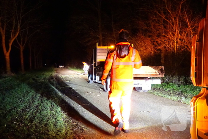 Auto komt vast te zitten tussen omgevallen bomen